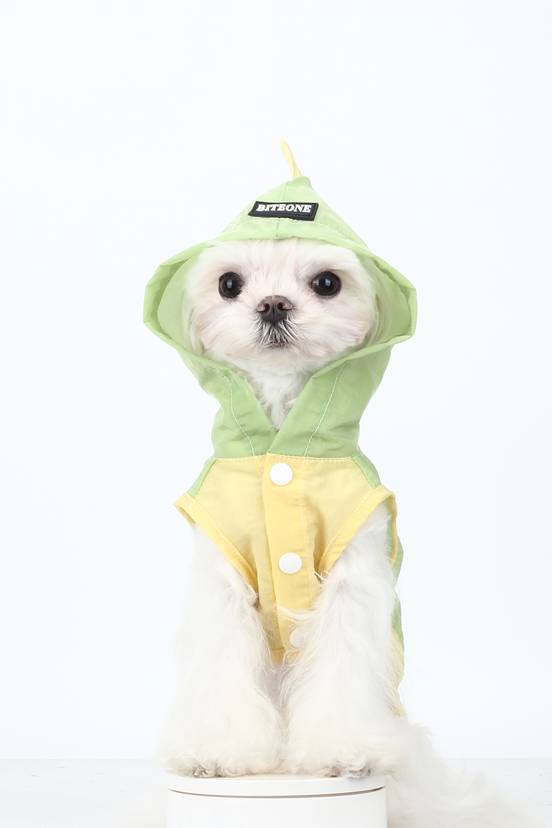 Dino Rain Shell